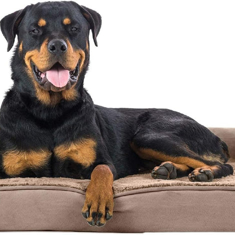 Orthopedic Dog Bed for Large Dogs W/ Removable Bolsters & Washable Cover, for Dogs up to 95 Lbs - Plush & Suede Sofa - Almondine, Jumbo/Xl