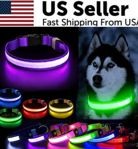 LED Adjustable Dog Collar Blinking Flashing Light up Glow Pets Safety Waterproof