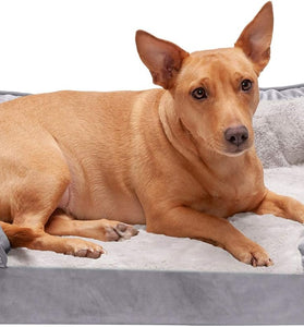 Orthopedic Dog Bed for Medium/Small Dogs W/ Removable Bolsters & Washable Cover, for Dogs up to 35 Lbs - Plush & Velvet Waves Perfect Comfort Sofa - Granite Gray, Medium