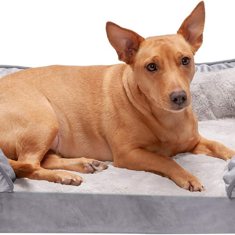 Orthopedic Dog Bed for Medium/Small Dogs W/ Removable Bolsters & Washable Cover, for Dogs up to 35 Lbs - Plush & Velvet Waves Perfect Comfort Sofa - Granite Gray, Medium