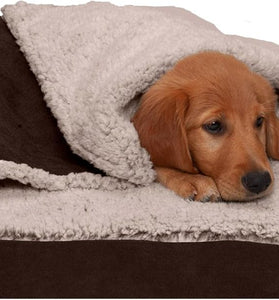 Cooling Gel Dog Bed for Medium/Small Dogs W/ Removable Washable Cover, for Dogs up to 35 Lbs - Berber & Suede Blanket Top Mattress - Espresso, Medium