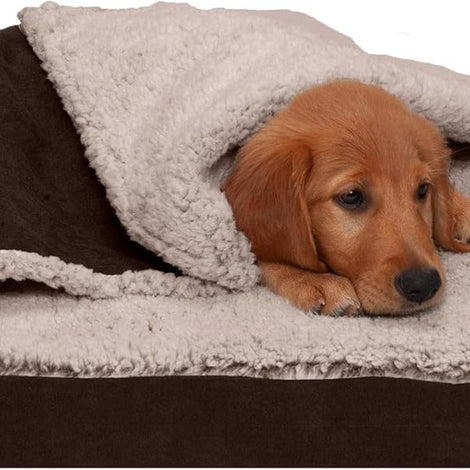 Cooling Gel Dog Bed for Medium/Small Dogs W/ Removable Washable Cover, for Dogs up to 35 Lbs - Berber & Suede Blanket Top Mattress - Espresso, Medium