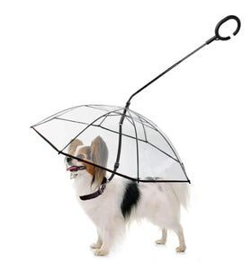 Dog Umbrella